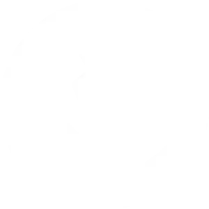 Call icon